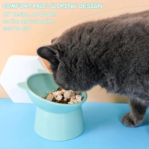 Qpets® Cat Feeding Bowl, 11.5cm Elevated Cat Bowl Feeder, Raised Anti Vomiting 45°Slanted Bowl Pet Food Dish Healthy with Anti-Tip Design for Kittens (2Pcs, Green) Qpets® Cat Feeding Bowl, 11.5cm Elevated Cat Bowl Feeder, Raised Anti Vomiting 45°Slanted Bowl Pet Food Dish Healthy with Anti-Tip Design for Kittens (2Pcs, Green)